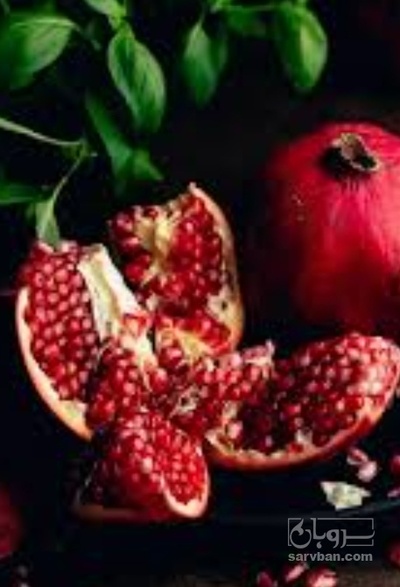 فروش انار