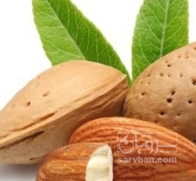 فروش بادام