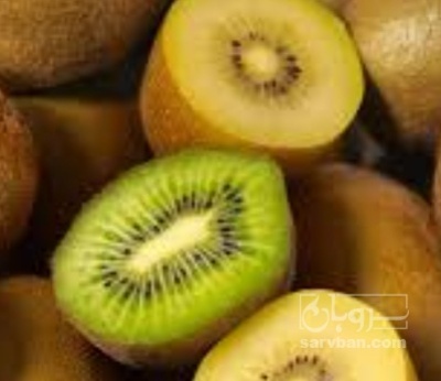 فروش کیوی