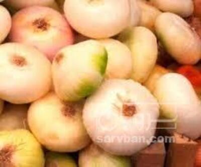 فروش موسیرتازه