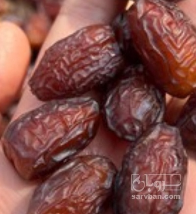 فروش خرما بریم