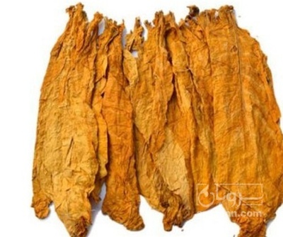 فروش تنباکو شیرین