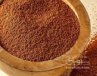 فروش خاکشیر (گیاه‌ دارویی)