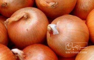 فروش پیاز زرد