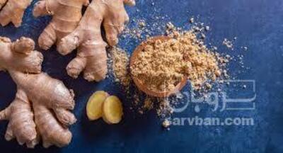 فروش پودر زنجبیل