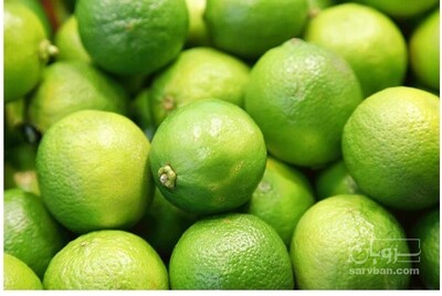 فروش لیمو ترش