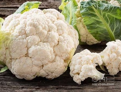 فروش گل کلم