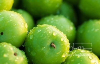 فروش گوجه سبز