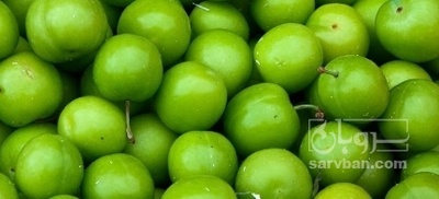 فروش گوجه سبز