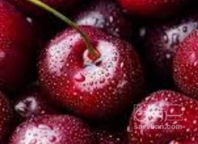 فروش گیلاس
