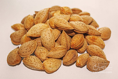فروش بادام