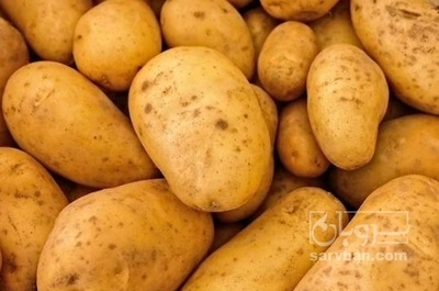 فروش سیب زمینی اگریا