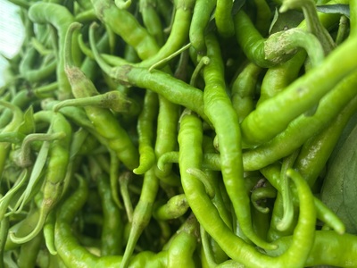 فروش فلفل سوزنی