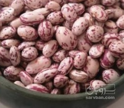 فروش لوبیا چیتی