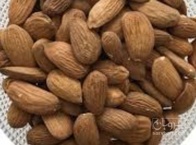 فروش هسته زردآلو تلخ