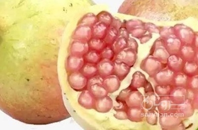 فروش انار سفید