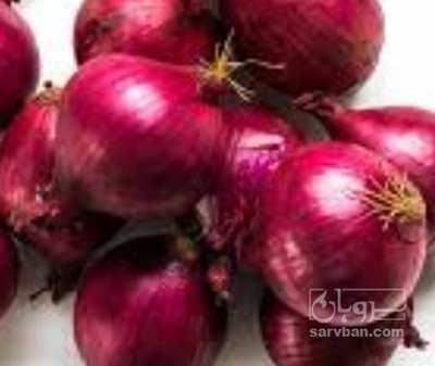 فروش پیاز قرمز