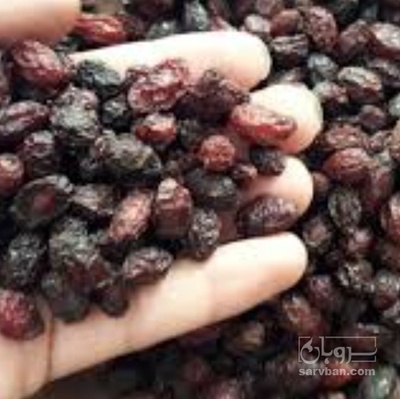 فروش زغال اخته خشک