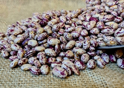 فروش لوبیا چیتی