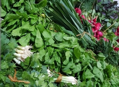 فروش سبزیجات