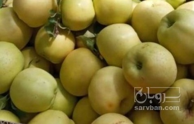 فروش سیب زرد