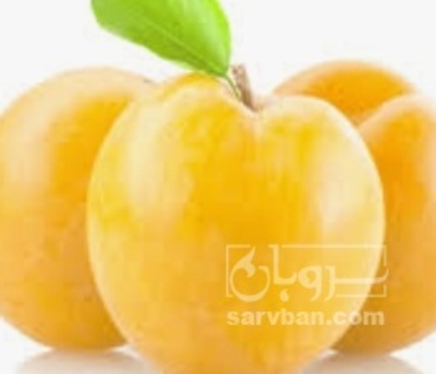 فروش آلو