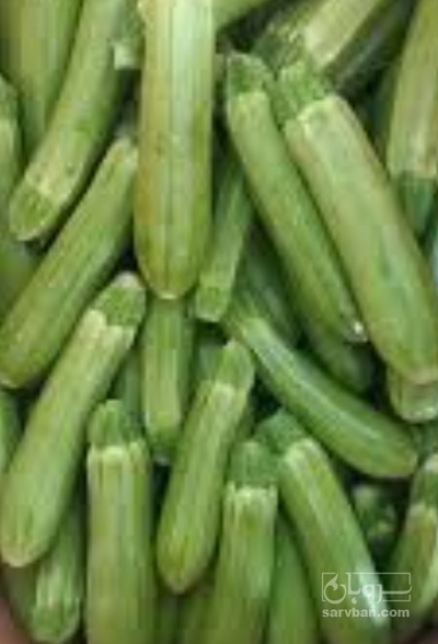 فروش کدو  سبز