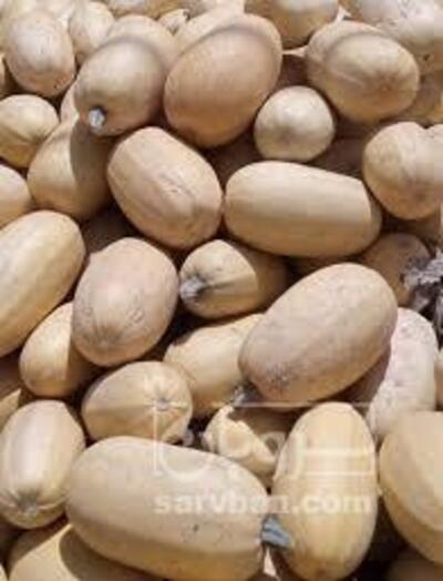 فروش کدوتخمی