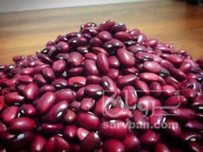 فروش لوبیا قرمز