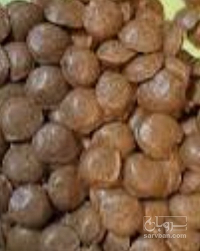 فروش موم و بره موم