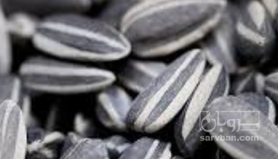 فروش تخمه آفتابگردان بود داده