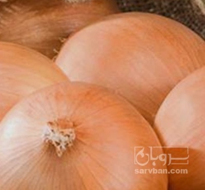 فروش پیاز زرد