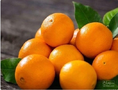 فروش پرتقال تامسون