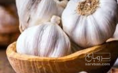 فروش سیر بذری