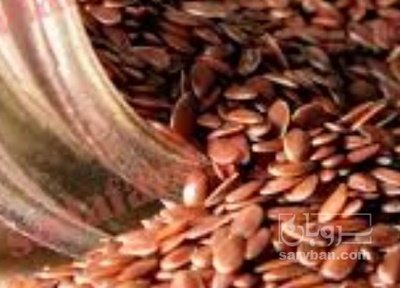 فروش کتان (گیاه الیافی)