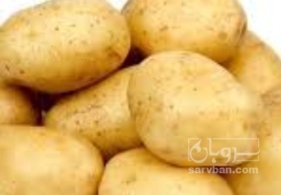 فروش سیب زمینی اگریا