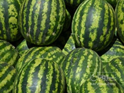 فروش هندوانه