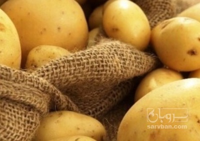 فروش سیب زمینی