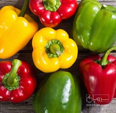 فروش فلفل دلمه ای