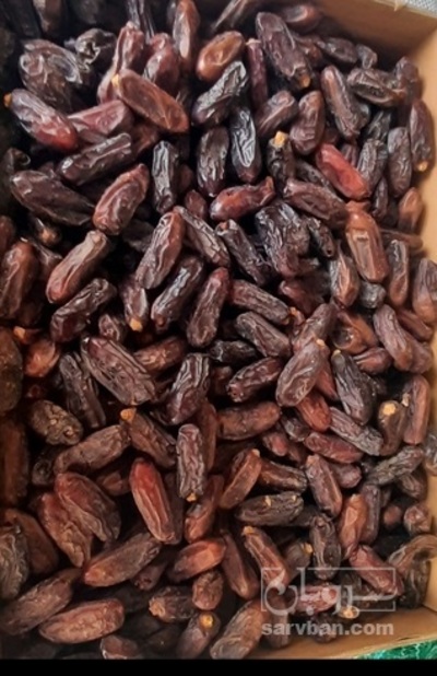 فروش خرما ربی