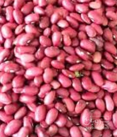 فروش لوبیا قرمز