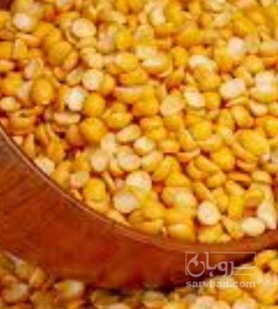 فروش نخود کفتری - لپه