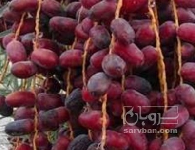 فروش خارک خرما زاهدی