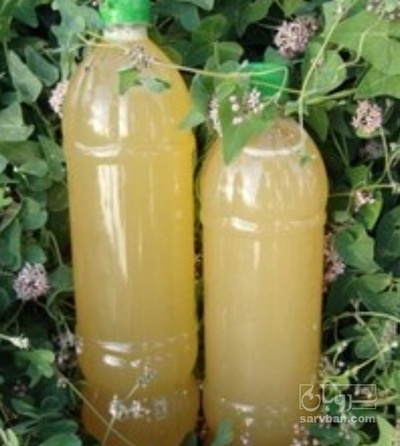 فروش آبغوره