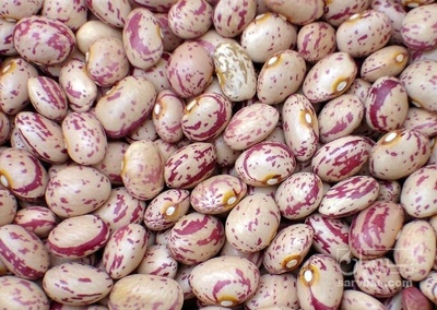 فروش لوبیا چیتی