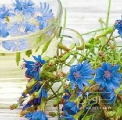 فروش عرق کاسنی