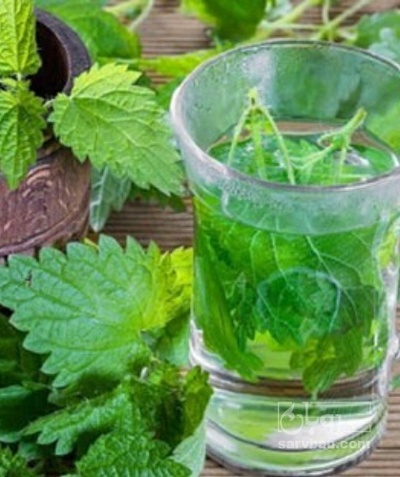 فروش عرق گزنه