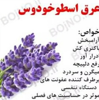 فروش عرق  اسطوخودوس