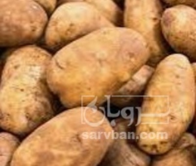 فروش سیب زمینی اگریا