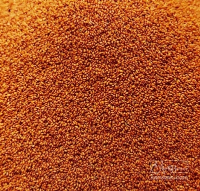 فروش خاکشیر (گیاه‌ دارویی)